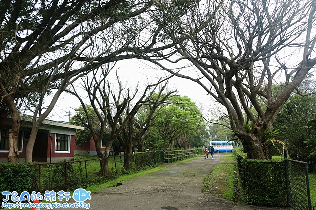 【台北陽明山一日遊】亞尼克夢想村–繽紛甜點、新鮮現做北海道十勝生乳捲。陽明山旅遊景點/親子旅遊/野餐場地/下午茶推薦/2016陽明山海芋季周邊景點推薦/台北一日遊景點/台北輕旅行