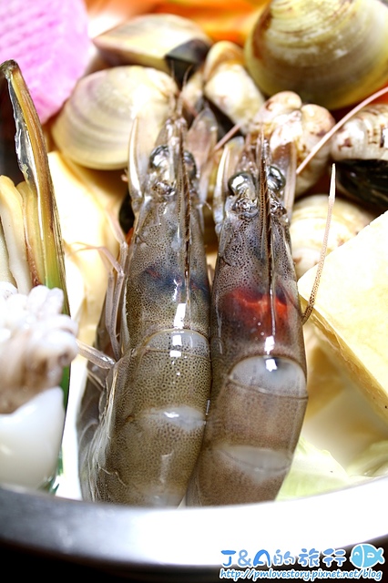 【捷運江子翠】鬼椒一番鍋 板橋店–澎湃濃郁起司牛奶鍋.土雞腿綠咖哩鍋香濃特別。板橋美食/板橋小火鍋