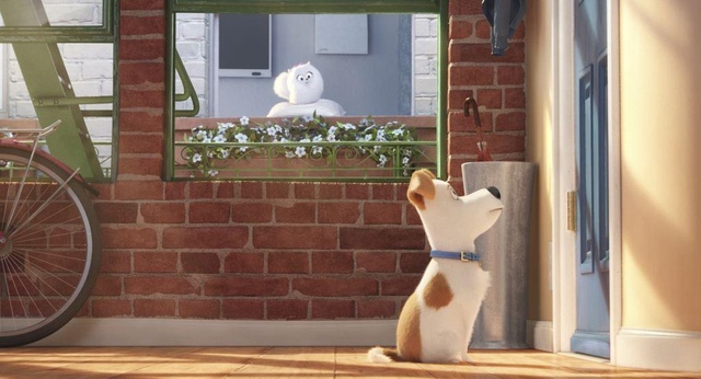 【電影心得】寵物當家 The Secret Life of Pets。寵物當家心得/寵物當家影評/寵物當家評論/The Secret Life Of Pets film review/The Secret Life Of Pets review