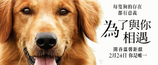 【電影心得】為了與你相遇 A Dog’s Purpose。為了與你相遇影評/電影為了與你相遇心得/為了與你相遇評論/為了與你相遇評價/A Dog’s Purpose影評/再次相遇/一條狗的使命