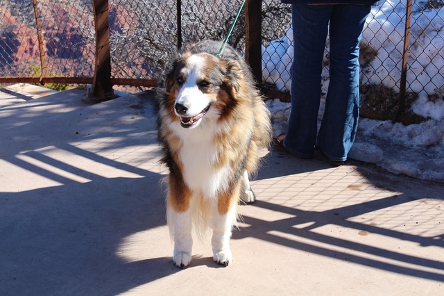 【美國西岸】大峽谷國家公園 Grand Canyon National Park–不得不讚嘆大自然的奧妙