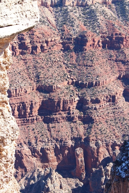 【美國西岸】大峽谷國家公園 Grand Canyon National Park–不得不讚嘆大自然的奧妙