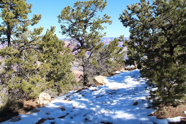 【美國西岸】大峽谷國家公園 Grand Canyon National Park–不得不讚嘆大自然的奧妙