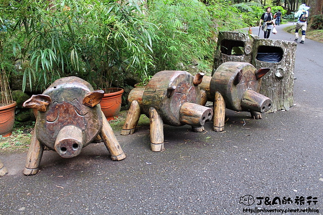 【南投旅遊】台大溪頭教育中心 新別墅區–鄰近妖怪村，享受森林芬多精的住宿環境