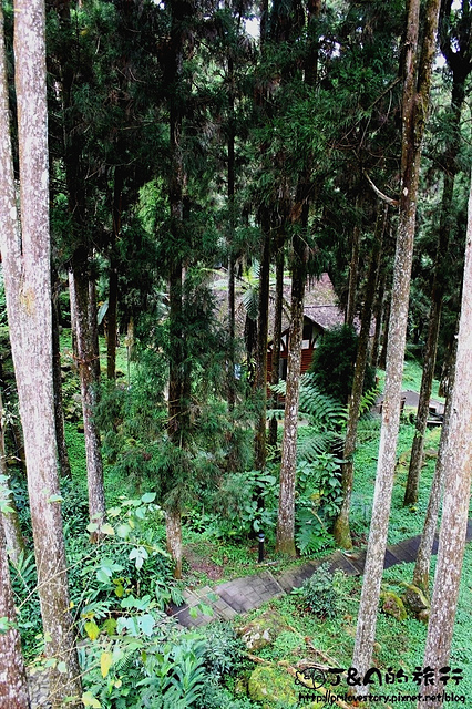 【南投旅遊】台大溪頭教育中心 新別墅區–鄰近妖怪村，享受森林芬多精的住宿環境