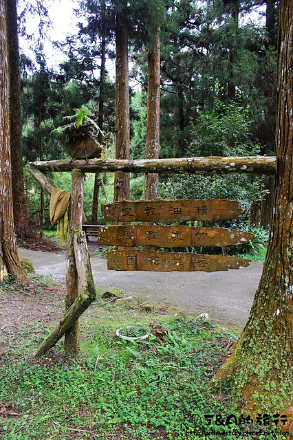 【南投旅遊】台大溪頭教育中心 新別墅區–鄰近妖怪村，享受森林芬多精的住宿環境