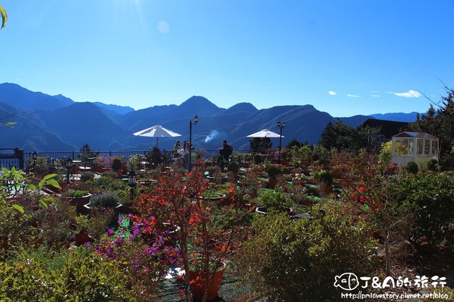 【南投/清境】清境白雲渡假山莊 住宿篇–綠色情漾房，飽覽美麗景色~到清境跨年住宿可以參考嚕!