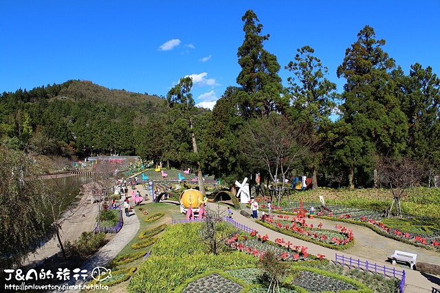 【南投/清境】紙箱王主題餐廳 CartonKing–瑞士小花園旁，桌椅都是用紙做的唷!